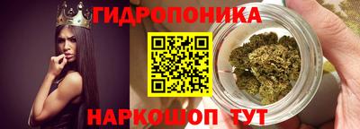 молекула духа Лесосибирск