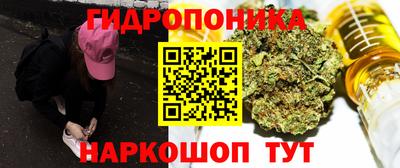 молекула духа Лесосибирск