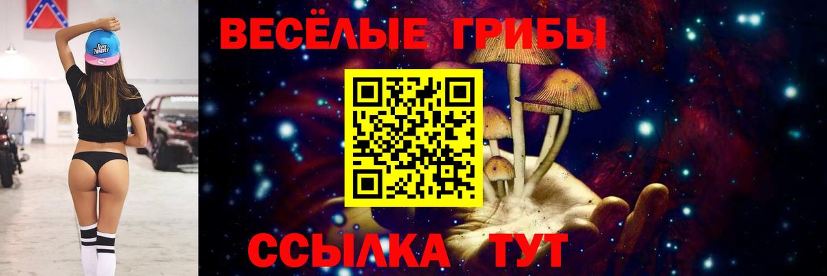 где найти   Псилоцибиновые грибы Psilocybe  Вход с VPN  Дзержинский 